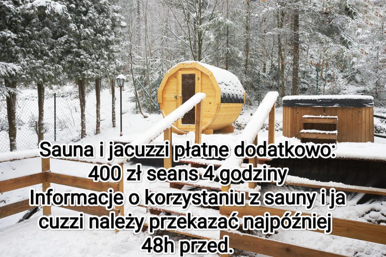 Apartament Widokowy Z Jacuzzi I Sauna Na Wylacznosc - Sikorowka - Dobre Miejsce Wisla Exterior photo